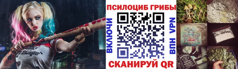 купить закладку  Радужный  Галлюциногенные грибы мицелий 